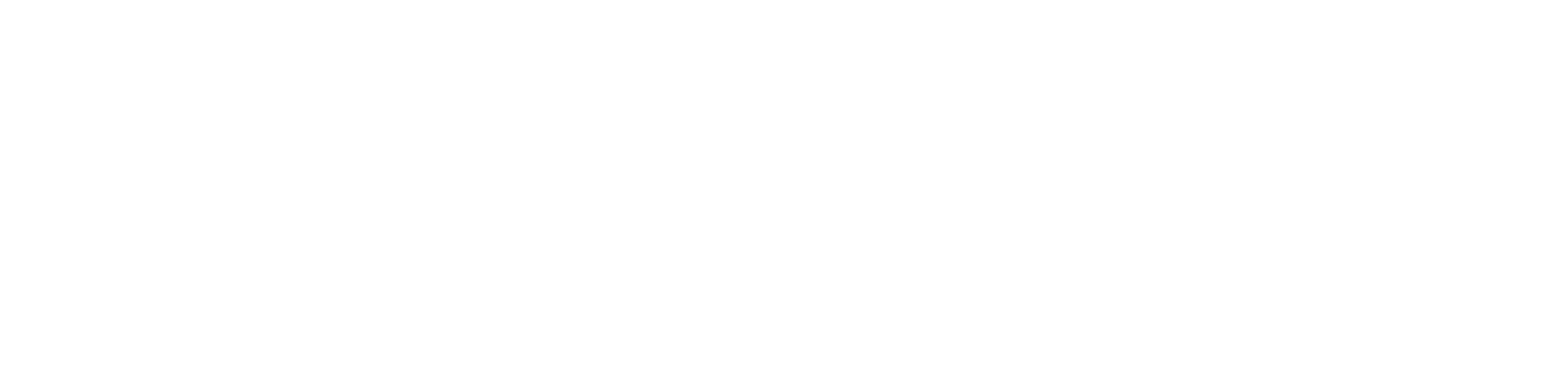 WebDruids Logo